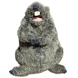 Folkmanis Puppet Groundhog Plush Pretend Play Furry Stuffed Animal Buck Teeth